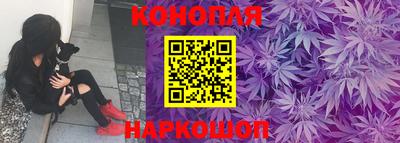 прущие грибы Краснокаменск