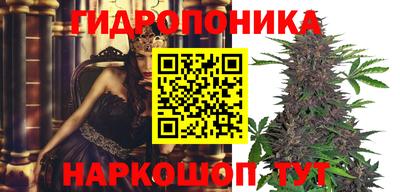 эйфоретик Краснознаменск