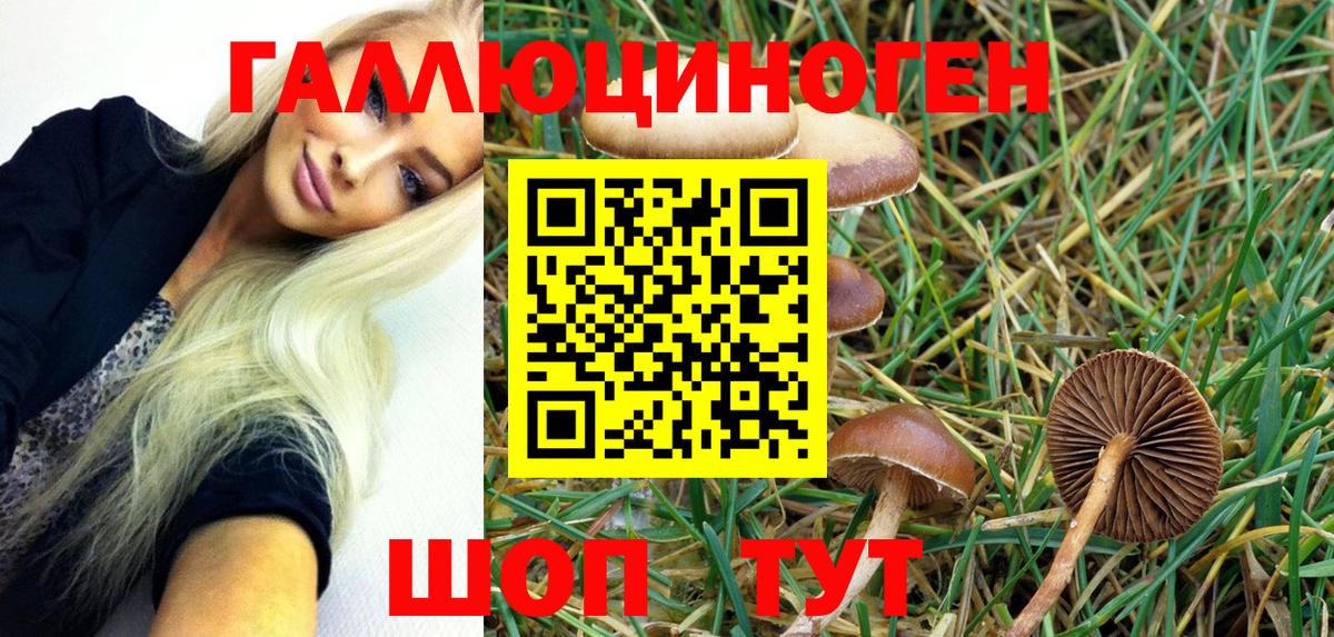 Псилоцибиновые грибы Magic Shrooms  Галлюциногенные грибы GOLDEN TEACHER  Вход с VPN  Владикавказ 